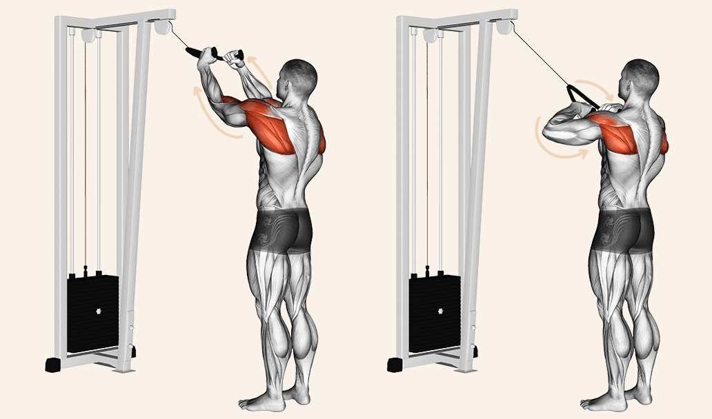 Exercises to pull shoulders back sale