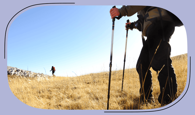 Best nordic walking outlet sticks 2017