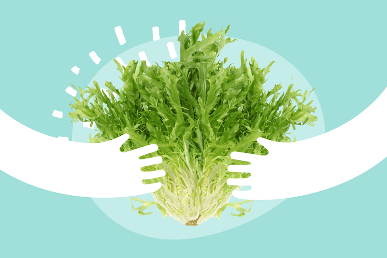 Escarole: What Is, Nutrition facts, How to cook