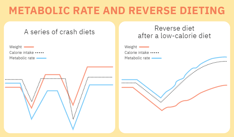 Metabolic rate with crash diets and reverse dieting