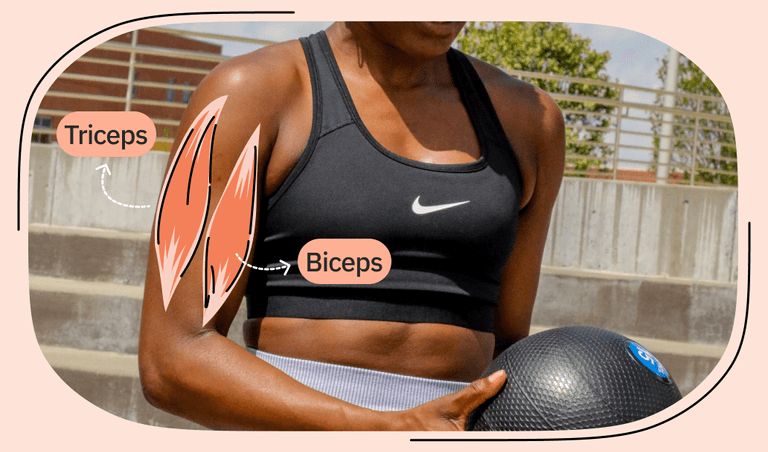 what is triceps