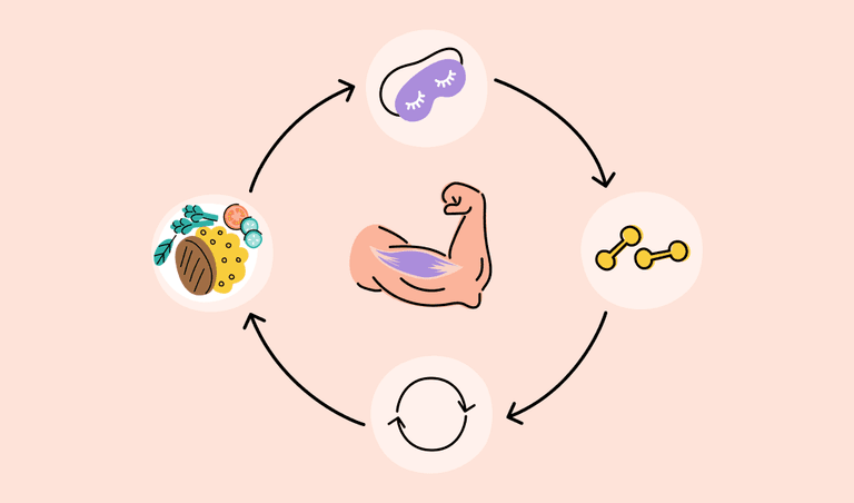 training cycle