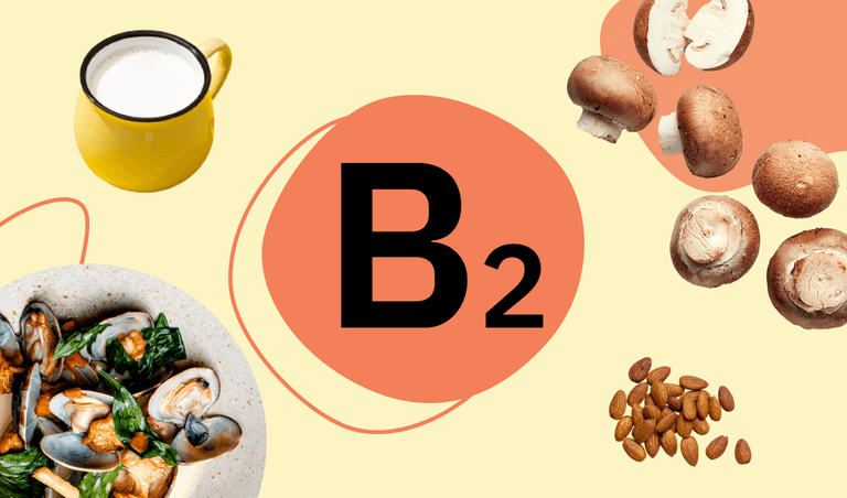 B2 can be found is mushrooms, clams, and milk