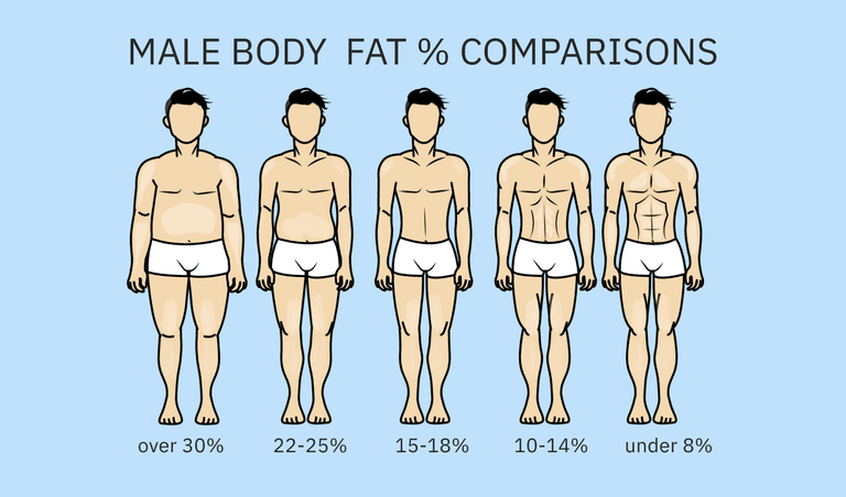 Male body fat % comparisons | Shutterstock