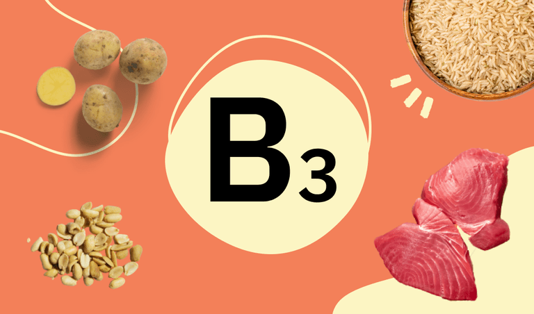 B3 is contained in fish and peanuts