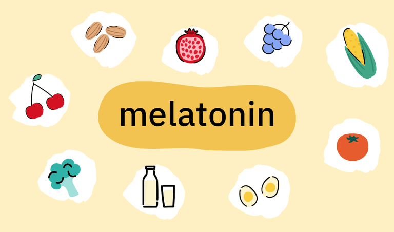 Food that promotes melatonin production