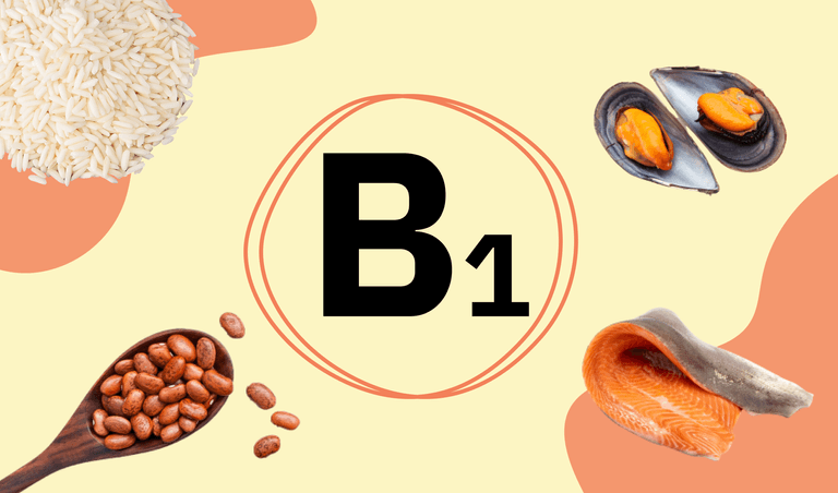 B1 can be found in mussels, beans, and rice