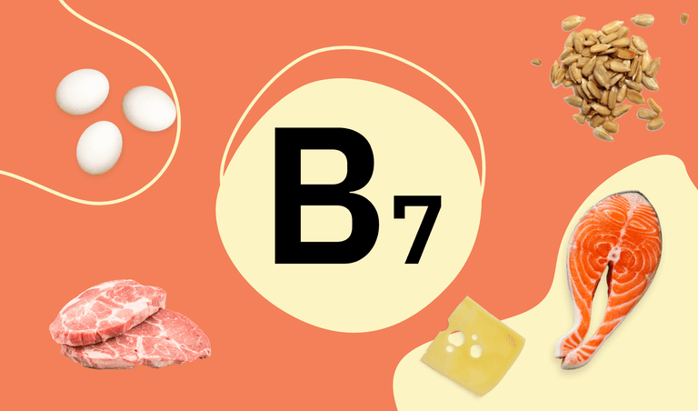 B7 can be found in seeds, eggs, and beef liver