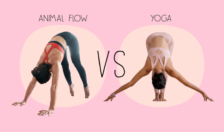 Animal flow vs yoga