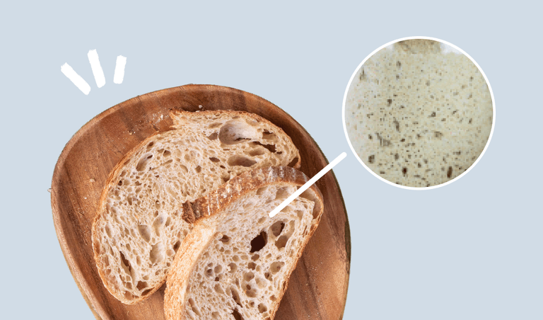 Sourdough bread is rich in probiotics