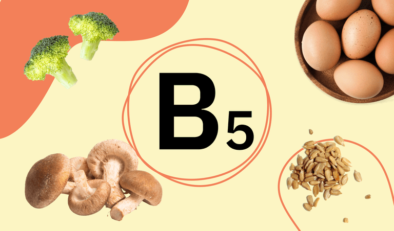 B5 is contained in mushroom, broccoli, and eggs