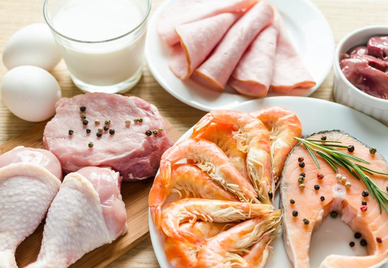 Meat, poultry, fish, seafood, eggs, and dairy products