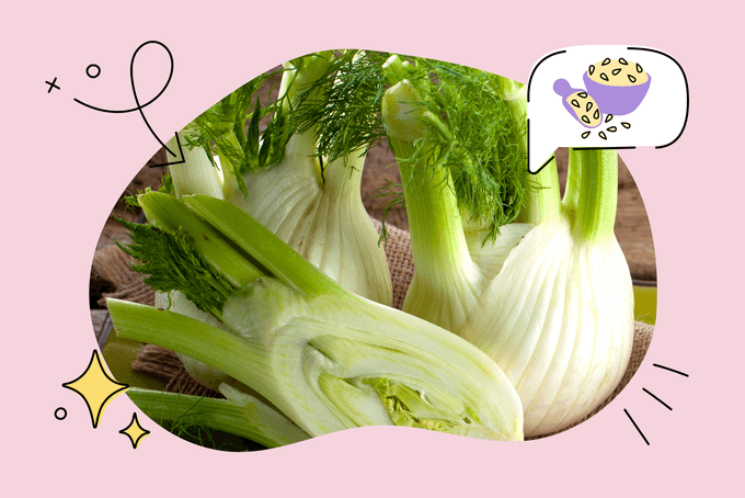 Fennel And Fennel Seeds Health Benefits, Common Uses And Side Effects