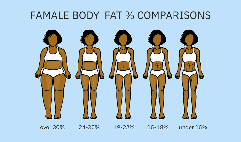 Female body fat % comparisons | Shutterstock